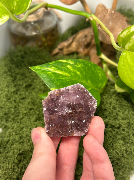Alacam Amethyst Cluster 19 (B grade)