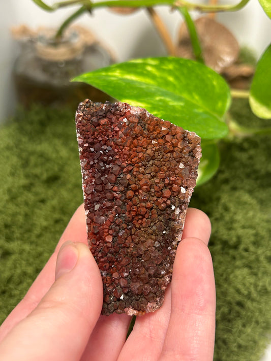 Alacam Amethyst Cluster 11 (C grade)