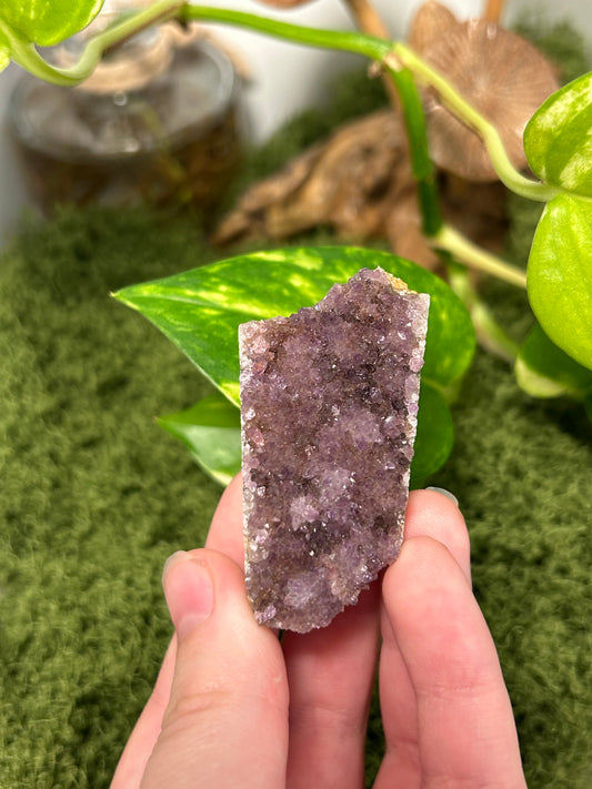 Alacam Amethyst Cluster 21 (B grade)