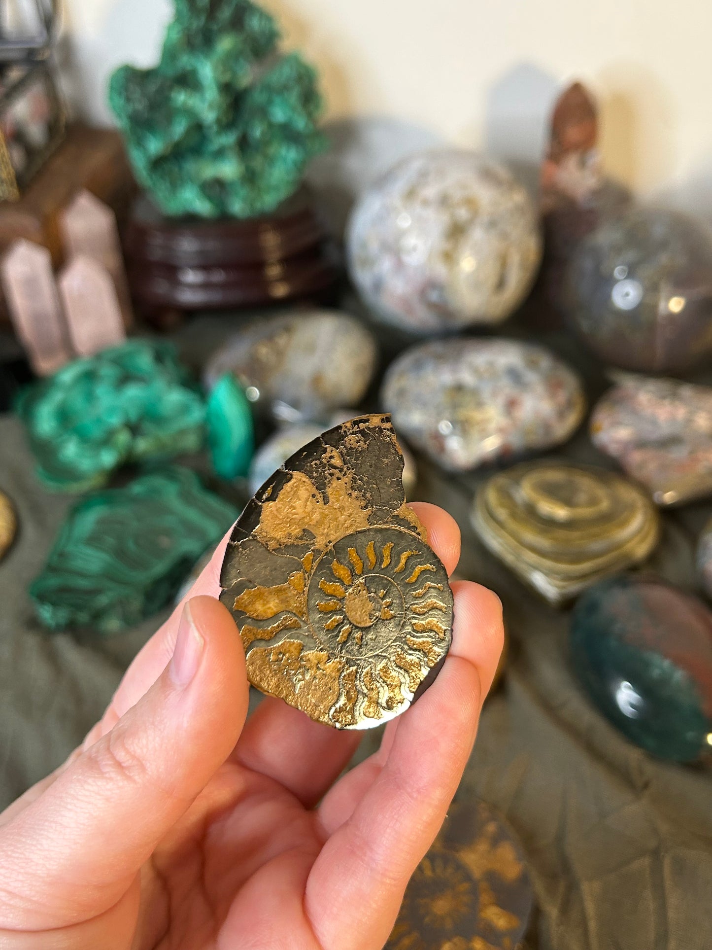 Hematite Ammonite Pair A