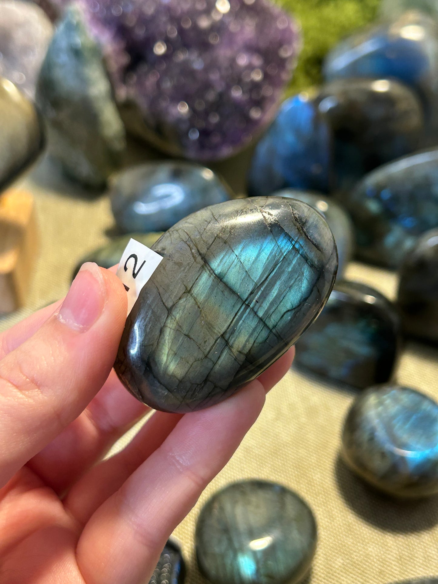 Labradorite Palm 12d