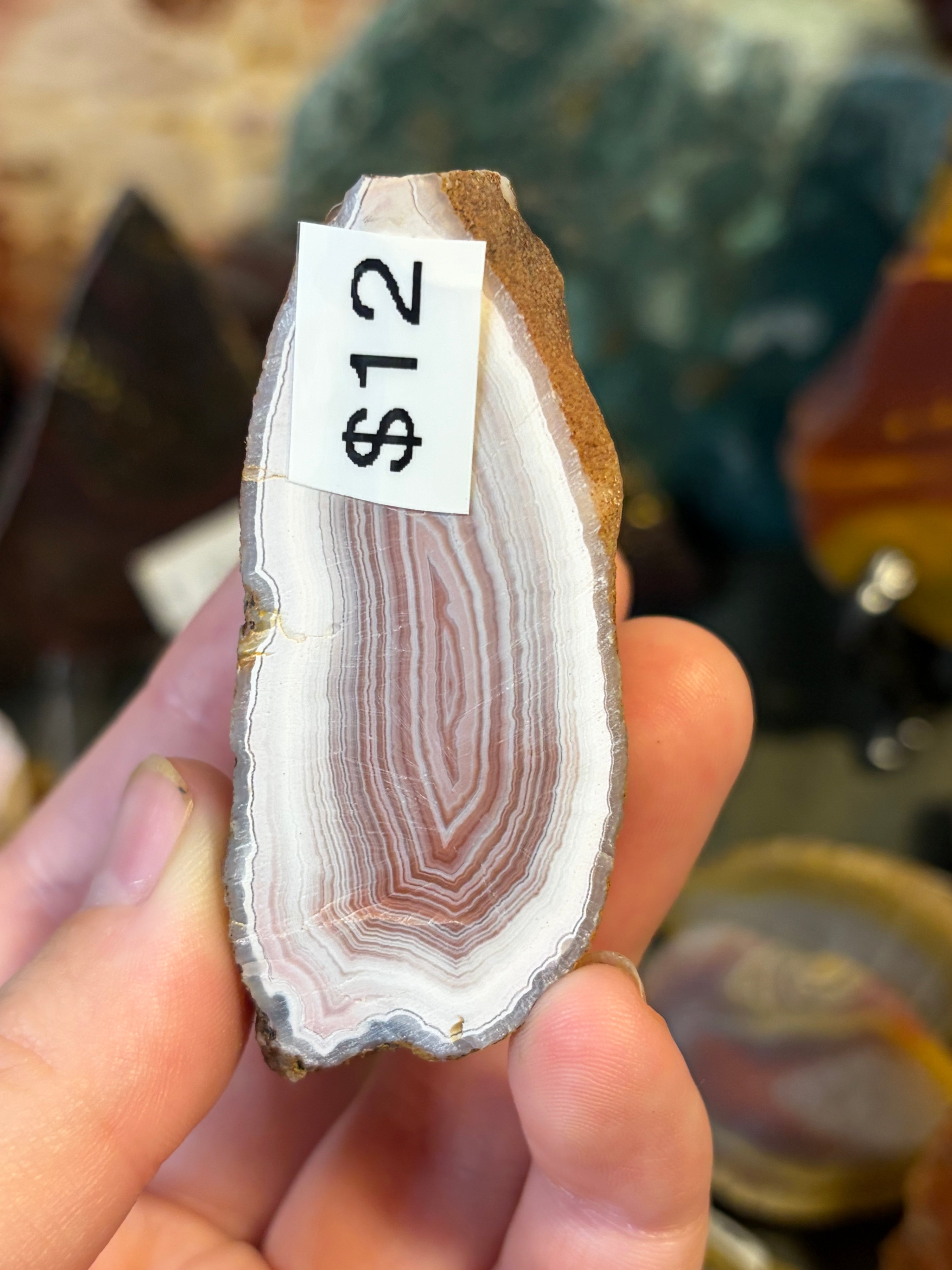 Unpolished Agate Creek Geode Half 1