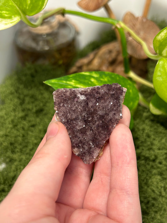Alacam Amethyst Cluster 26 (B grade)