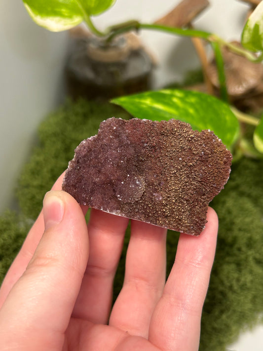 Alacam Amethyst Cluster 20 (C grade)