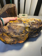Large Mookaite Half-Raw Slab