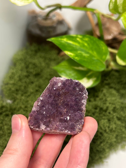 Alacam Amethyst Cluster 22 (C grade)