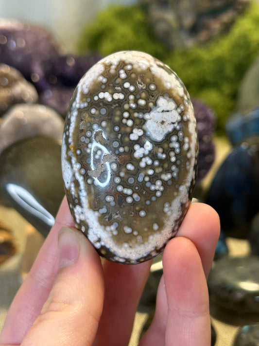 Ocean Jasper Palm
