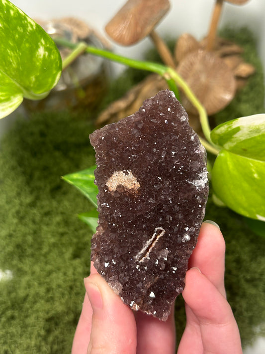 Alacam Amethyst Cluster 7 (B grade)
