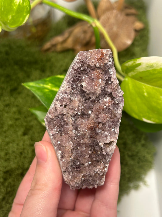 Alacam Amethyst Cluster 10 (C grade)