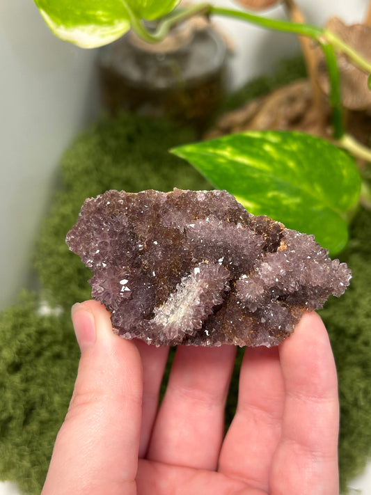 Alacam Amethyst Cluster 15 (B grade)