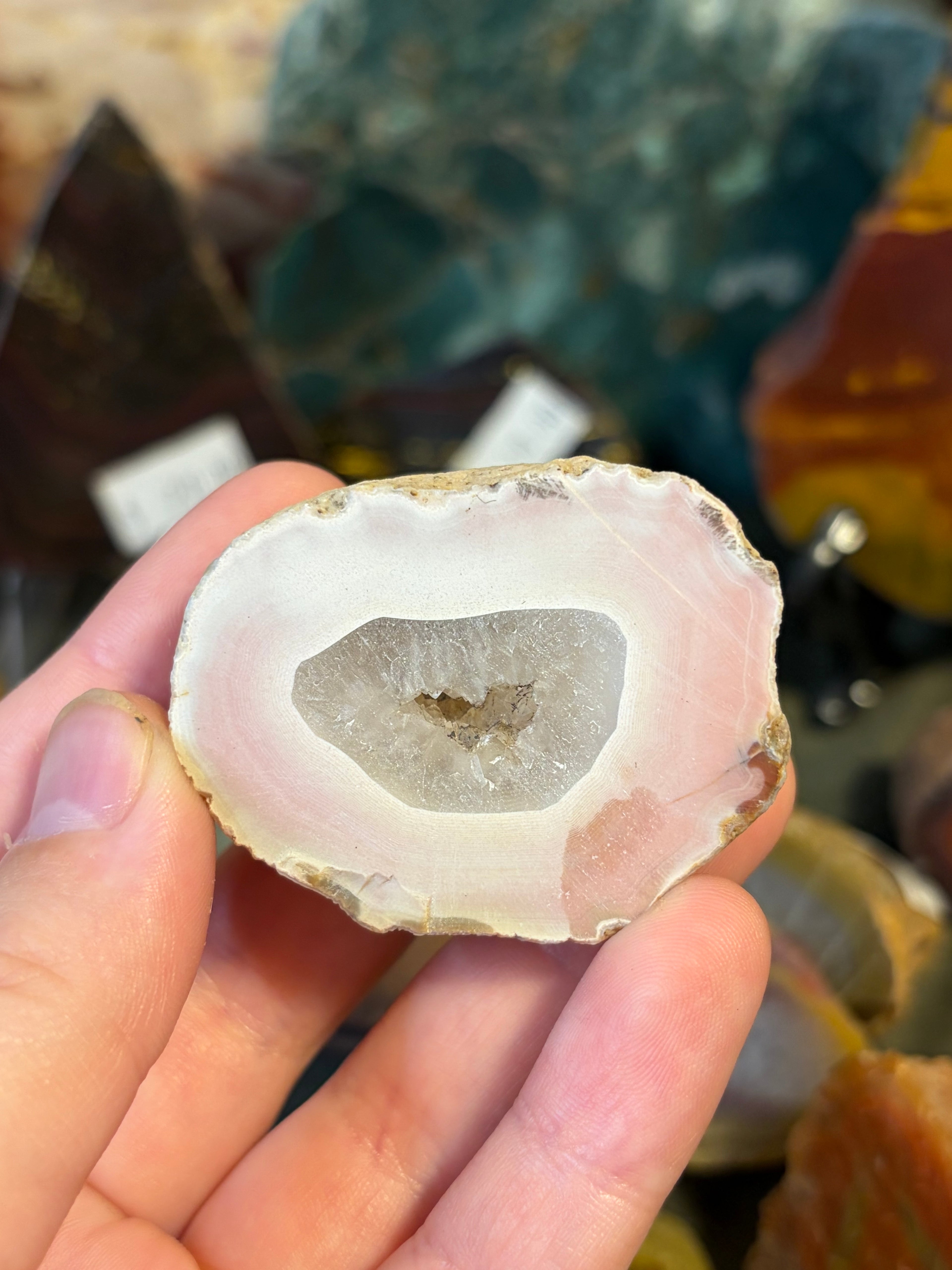 Unpolished Agate Creek Geode Half 2