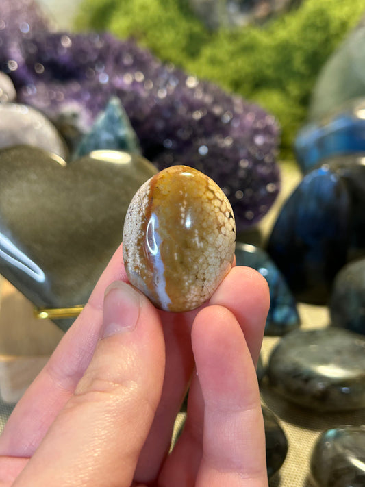 Ocean Jasper Mini Palm