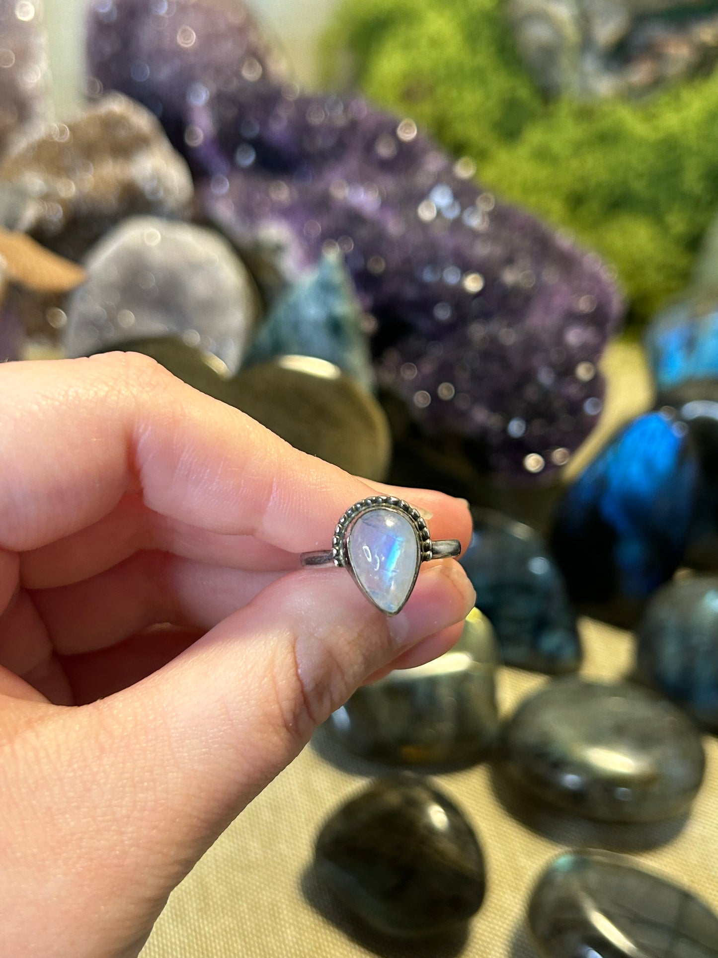 Moonstone Petite Ring (S6)
