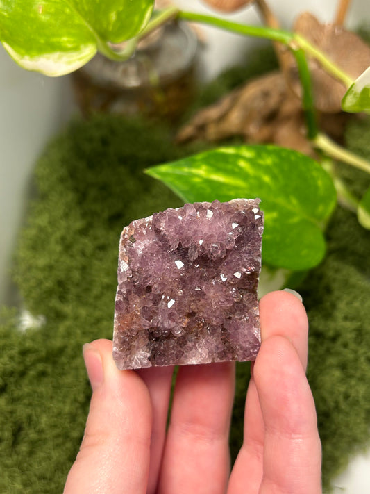 Alacam Amethyst Cluster 12 (B grade)