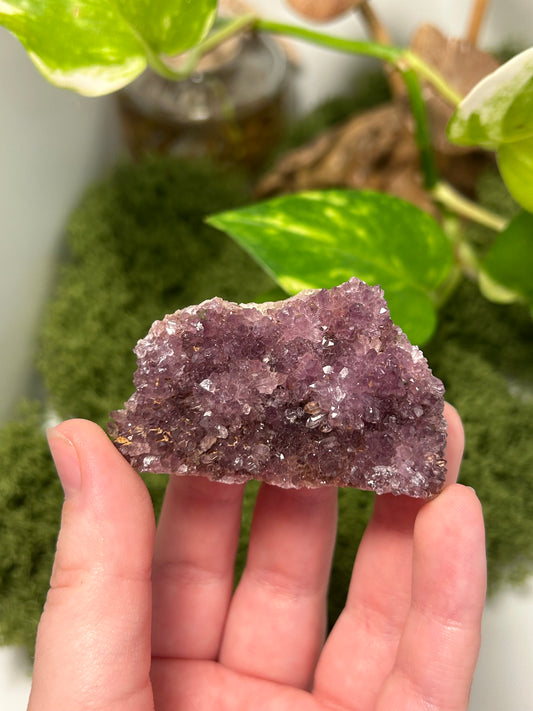 Alacam Amethyst Cluster 13 (B grade)