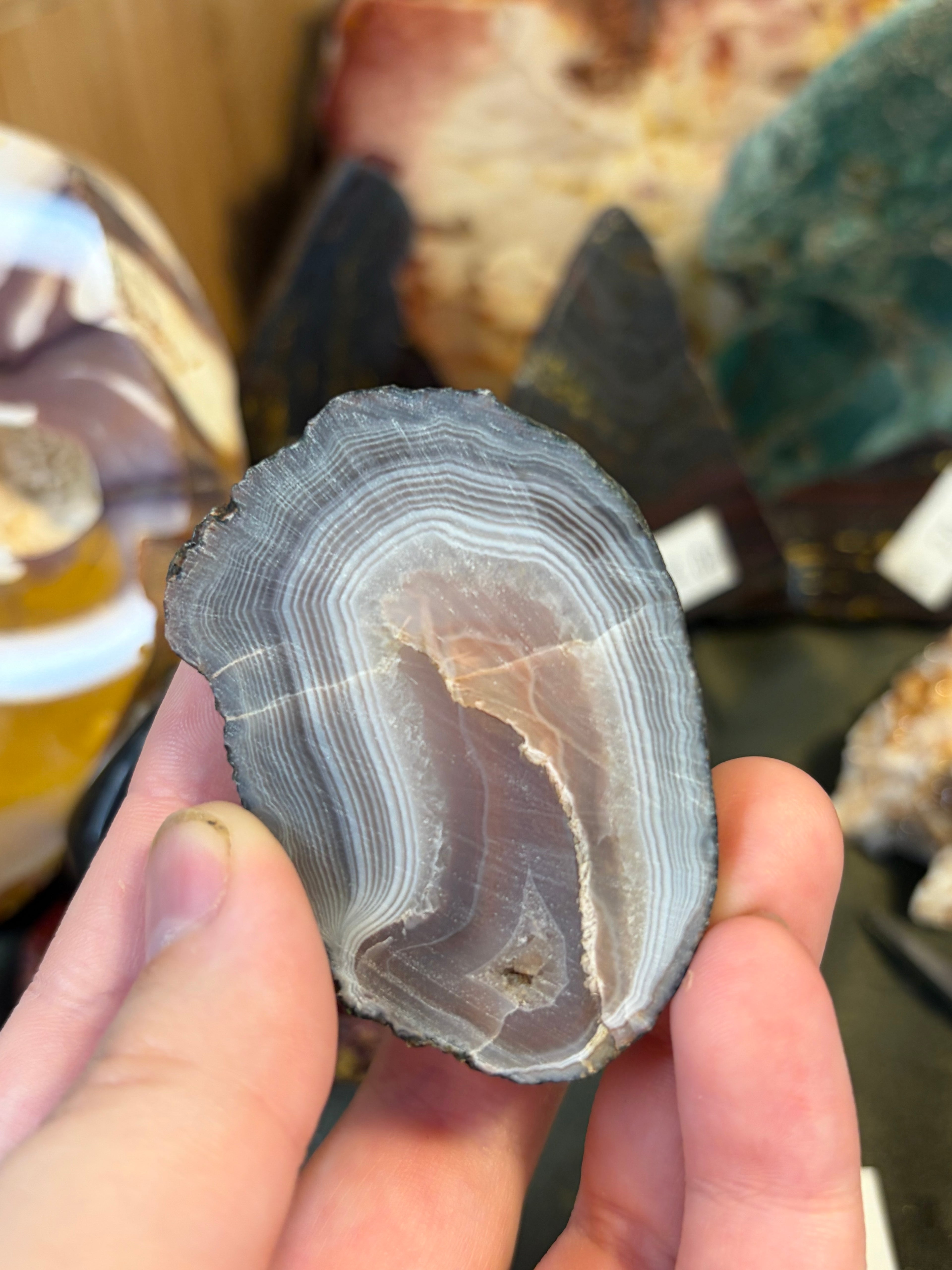 Unpolished Laguna Agate Geode 4