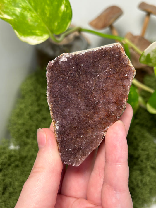 Alacam Amethyst Cluster 5 (B grade)