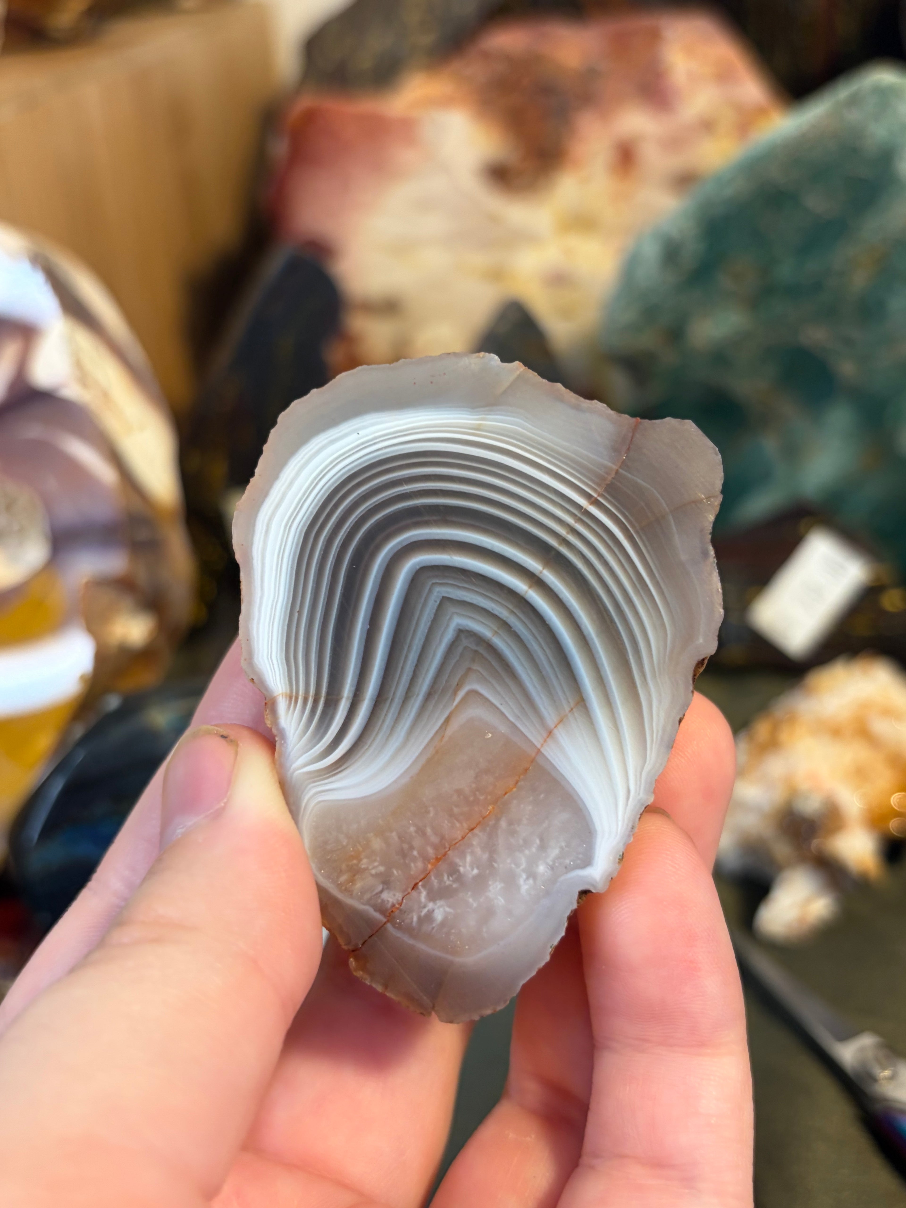 Unpolished Laguna Agate Geode 5