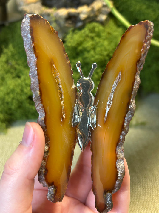 Agate Slice Butterfly #3