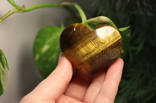 Tigers Eye Heart