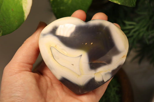 Orca Agate Heart