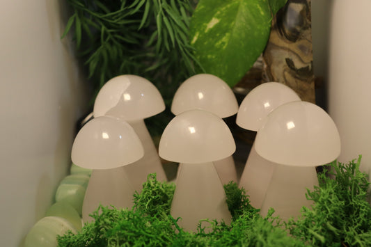 Mangano Calcite Mushrooms