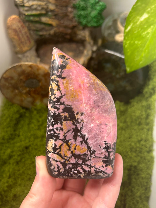 Rhodonite Freeform 5