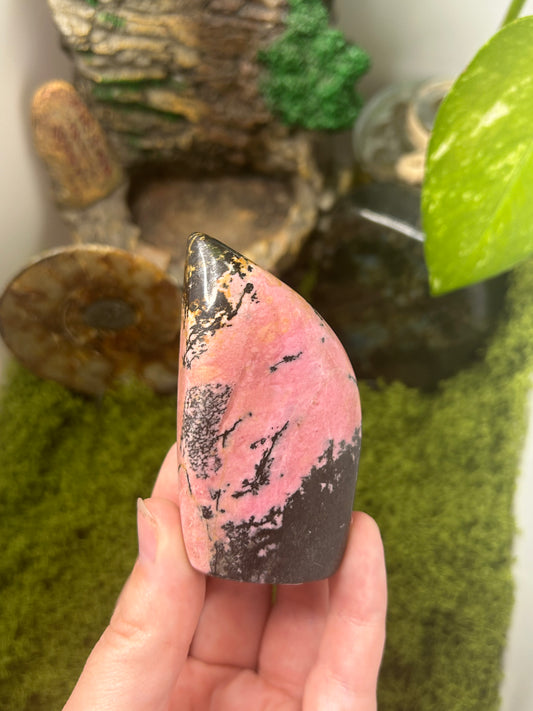 Rhodonite Freeform 6