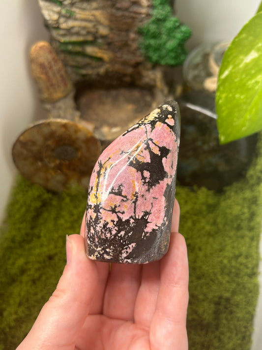 Rhodonite Freeform 7
