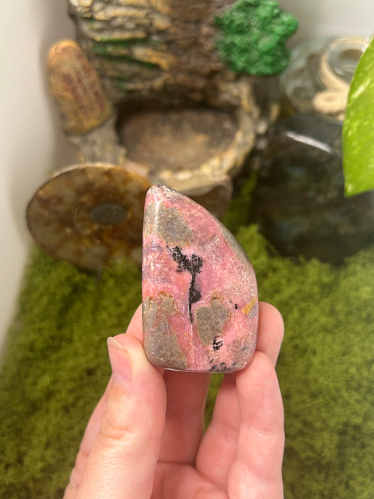 Rhodonite Freeform 11