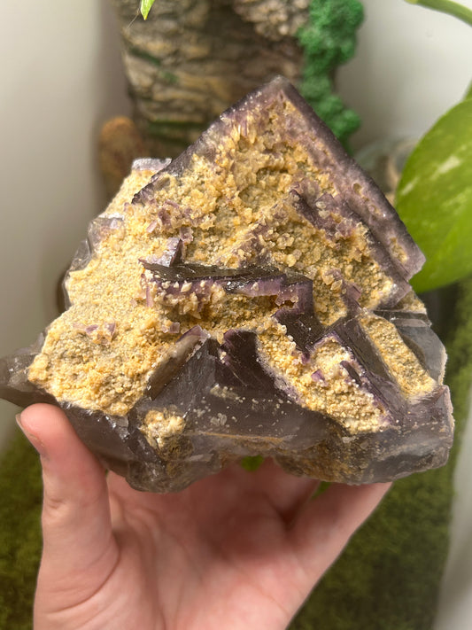 Fluorite Specimen