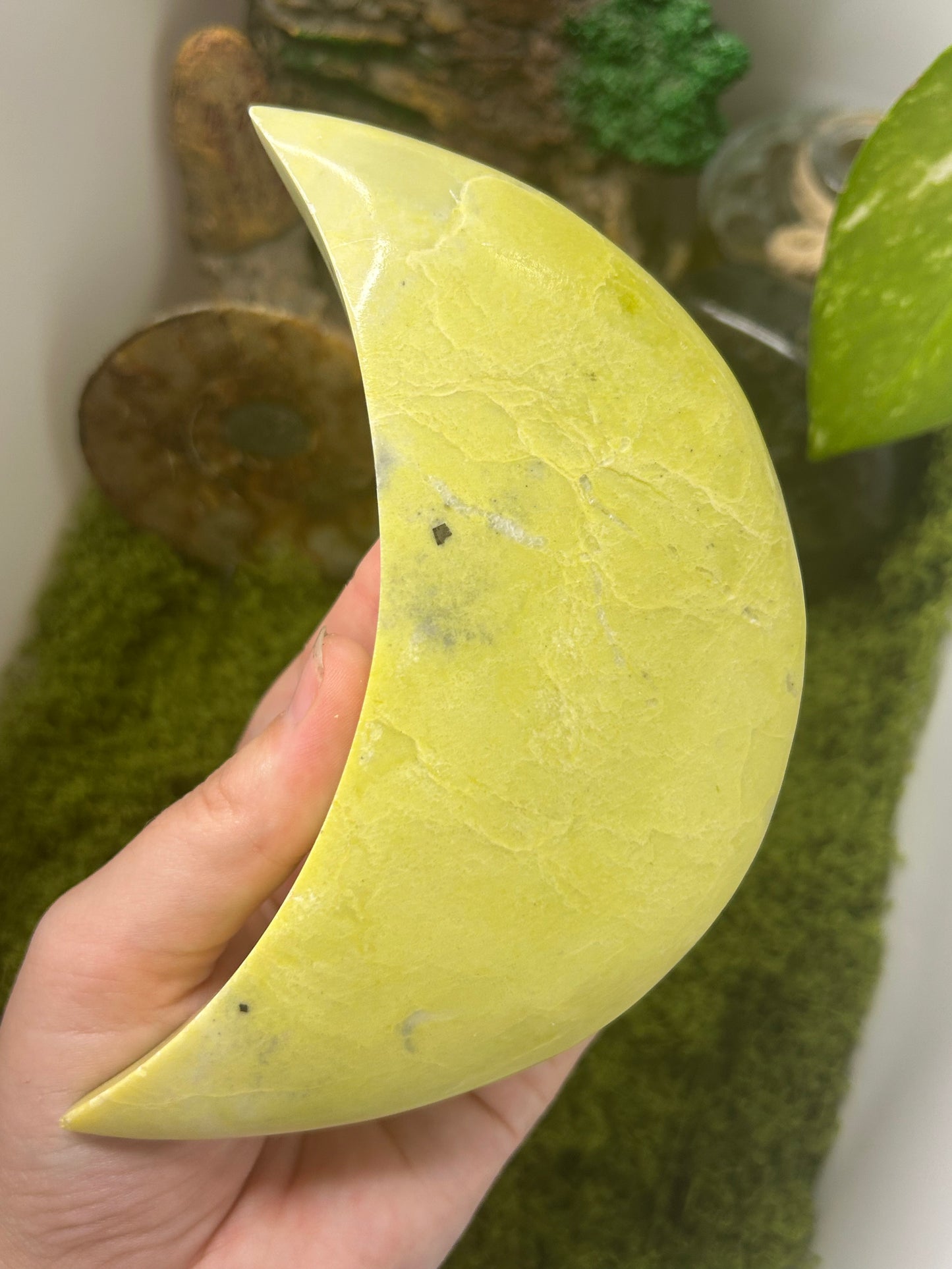 Yellow Serpentine Moon 2