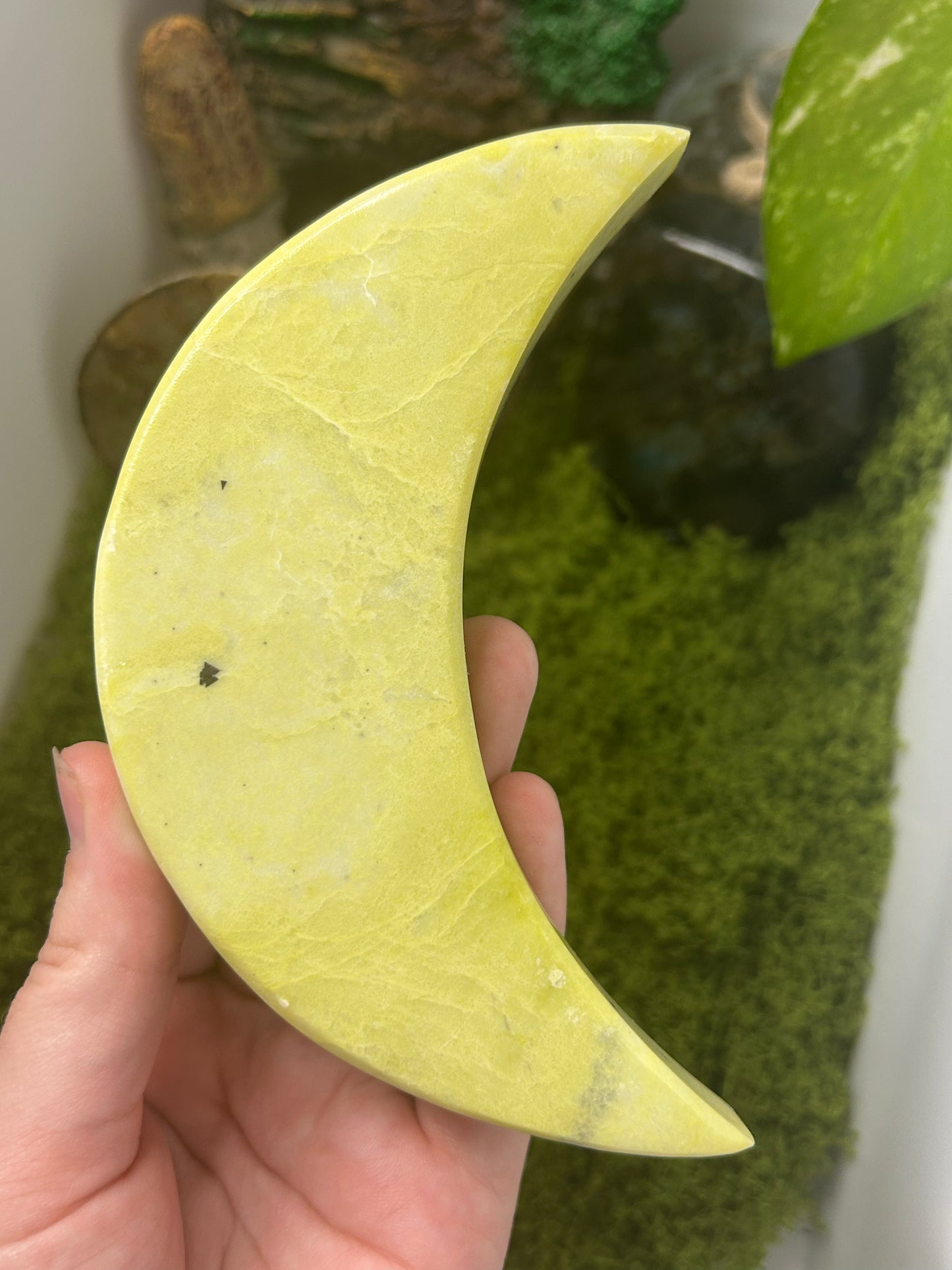 Yellow Serpentine Moon 4